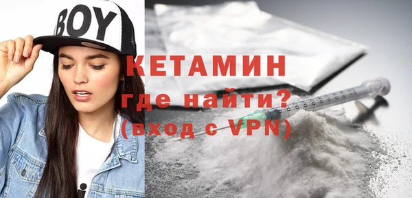 шишки Абаза