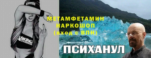 шишки Абаза