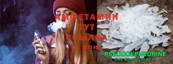 шишки Абаза