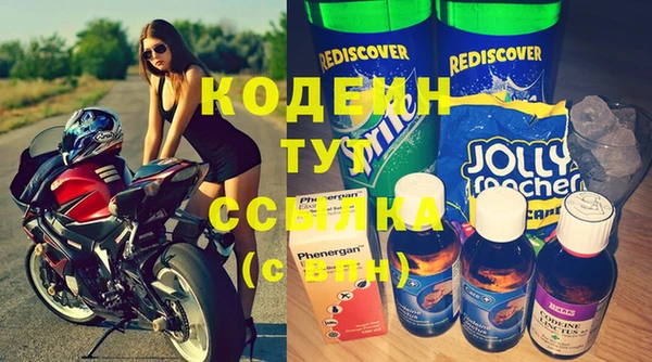 шишки Абаза