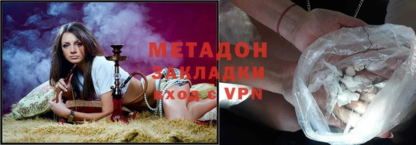 шишки Абаза