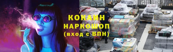 шишки Абаза