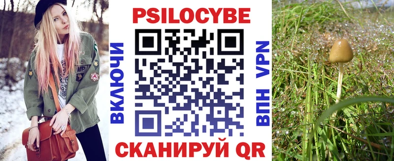 как найти закладки  Каменка  Галлюциногенные грибы GOLDEN TEACHER 