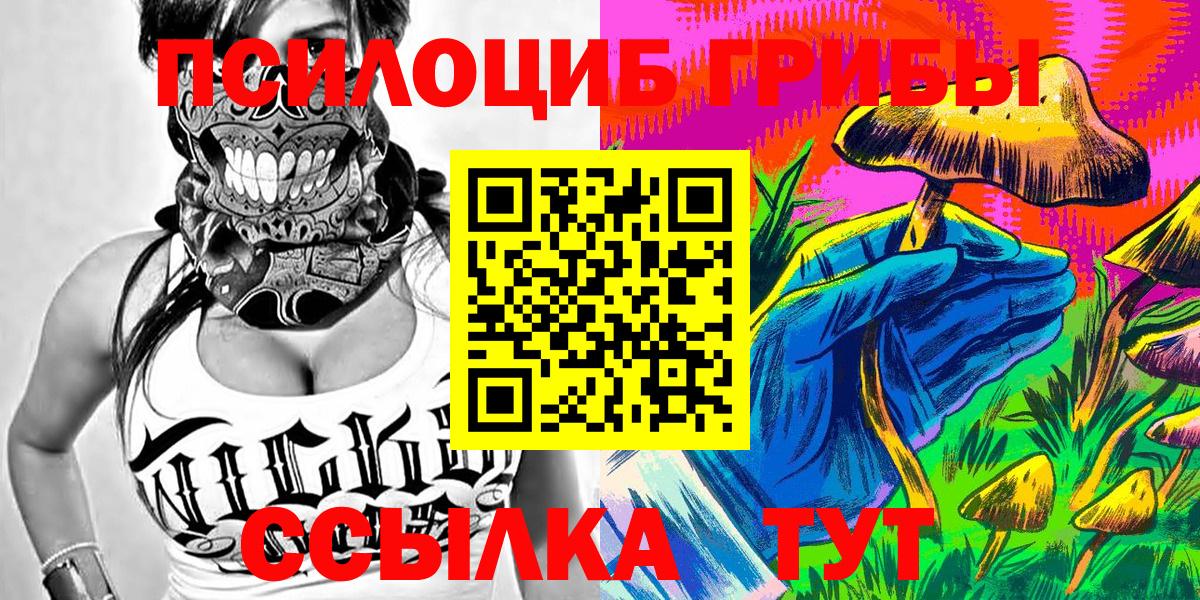 Каменка  Псилоцибиновые грибы Psilocybine cubensis  Вход с VPN 