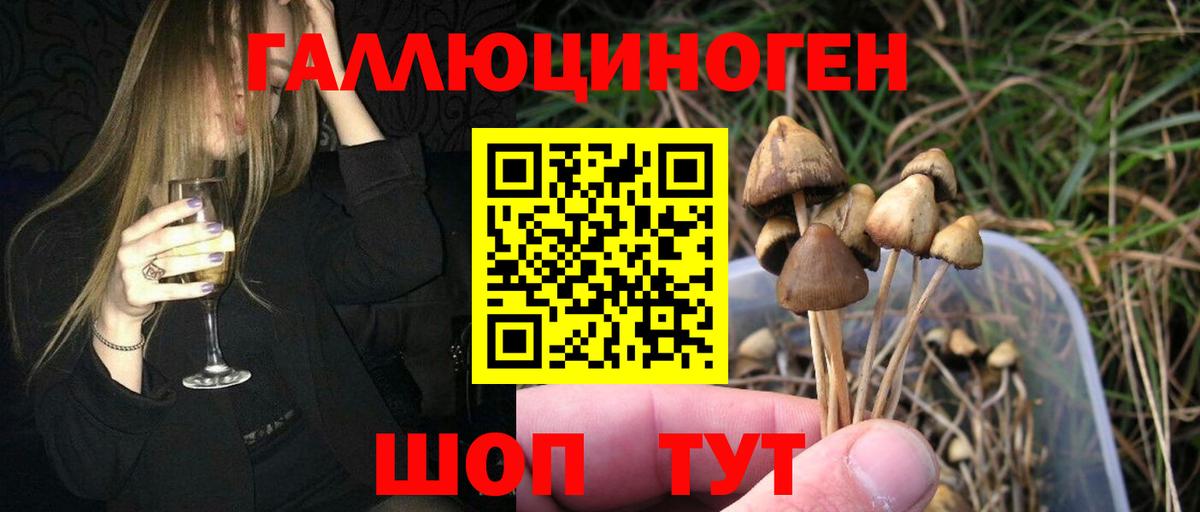 Галлюциногенные грибы Cubensis Каменка
