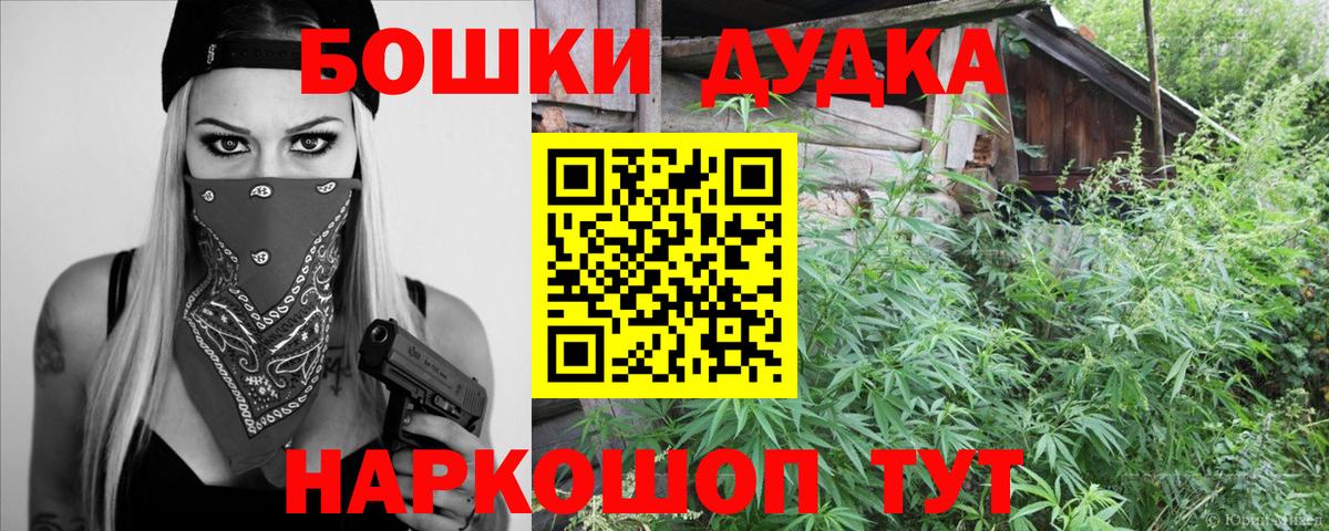 Каменка  Бошки Шишки план  Канабис семена  Бошки марихуана Bruce Banner  Вход с VPN 